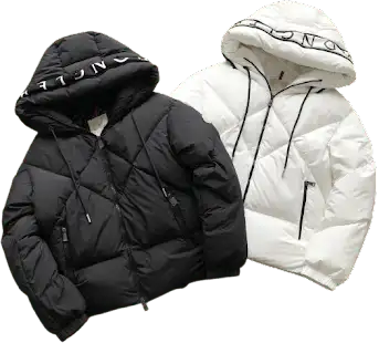 Moncler Estom Down Jacket