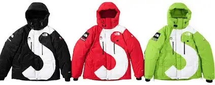 Supreme x North Face S Logo Summit Series Himalayan Parka