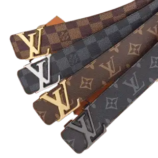 Louis Vuitton Belts #1 (37 Variants)