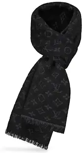 Louis Vuitton Scarf