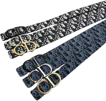 Dior Belts