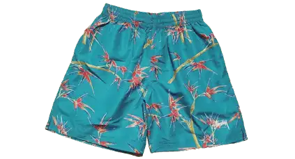 Stussy Swim Shorts