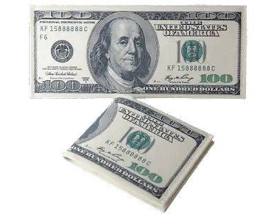 Dollar Bill Wallet