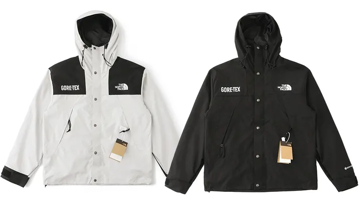 North Face Gore-Tex Jacket #2